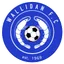 Logo of Wallidan FC