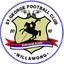 Logo of St George Willawong FC