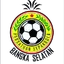 Logo of Bangka Selatan