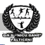 Logo for CN Nicu Gane (w)