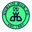Logo of Dublin Bus FC