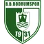 Logo of Bodrum FK