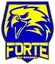 Forte Rio Bananal