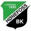 Picture for Honefoss U19