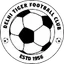 Delhi Tigers