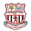 Logo of Edenderry Town FC