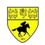 Logo of Newmarket Town