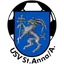Logo of USV RB Weindorf St.Anna