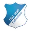 Hoffenheim U19