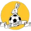 Logo of March Town United