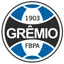 Logo of Gremio (Youth)
