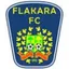 Flacara Falesti