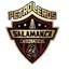 Logo of Club Petroleros de Salamanca
