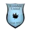 Logo of Avomdale United