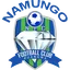 Logo of Namungo FC