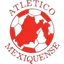 Logo of CD Mexiquense