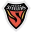 Logo of Pohang Steelers