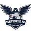 Logo of Matebele FC