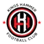Logo of Kings Hammer FC