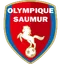 Saumur OL