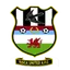 Logo of Risca Utd