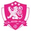 Logo of Cilesi FC
