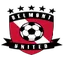 Logo of Belmont Swansea United SC