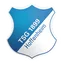 Logo of Hoffenheim (w)