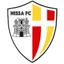 Logo of Nissa FC