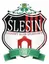 Picture for LKS Slesin