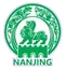 Nanjing Team