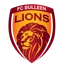 FC Bulleen Lions