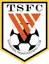 Logo for Shandong Taishan FC