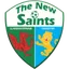 Picture for The New Saints (w)