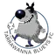 Logo of Tarrawanna Blueys