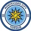 Logo of Torque U19