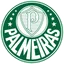 Logo of Palmeiras (Youth)