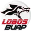 Picture for Lobos BUAP