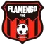 Logo of Flamengo FBC (W)
