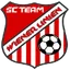 Logo of Team Wiener Linien