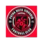 Logo of Putra Delta Sidoarjo FC