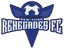 Logo of NY Renegades