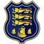 Logo of Waterford United (W)