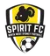 NWS Spirit (W)