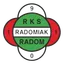 Logo of Radomiak Radom II