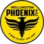 Picture for Wellington Phoenix Reserve