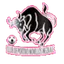 Logo of CD Novillos Neza