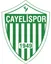 Logo of Cayelispor