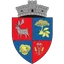 Logo of CS Socodor