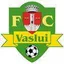 Picture for Vaslui